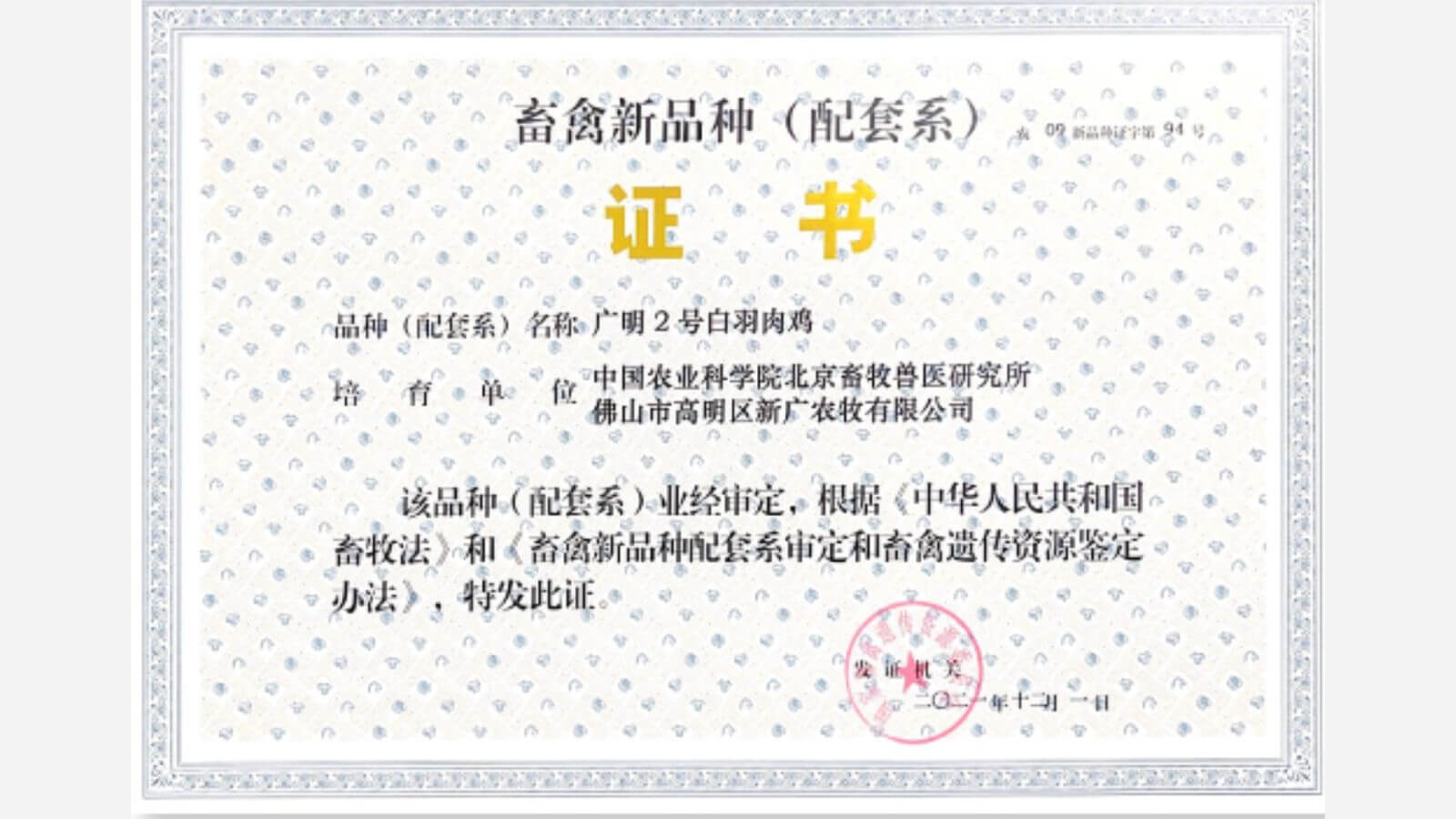 2024-2025 : Expansion à l'étranger
   