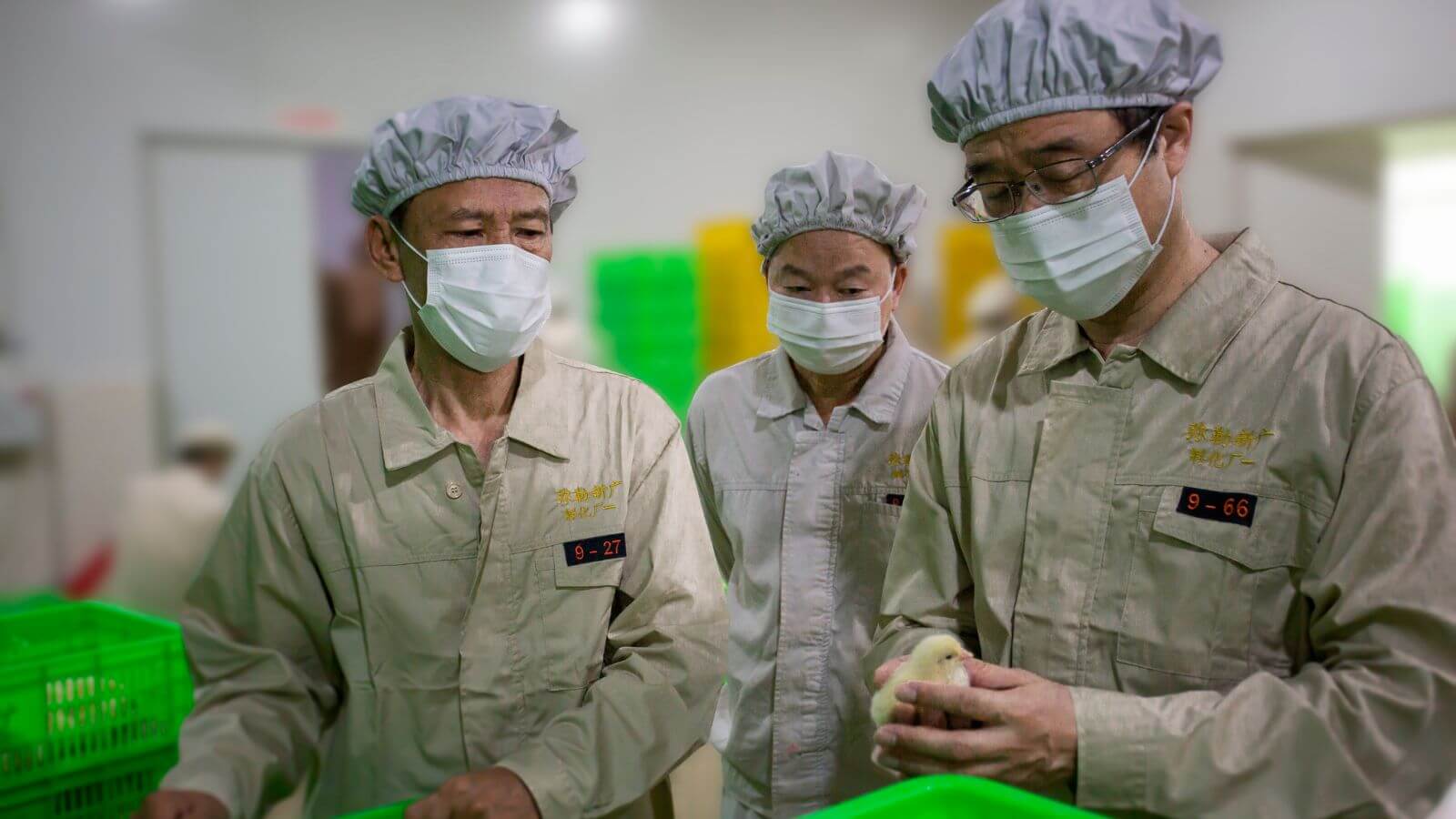 2014-2017 : Intégration industrie-université
   