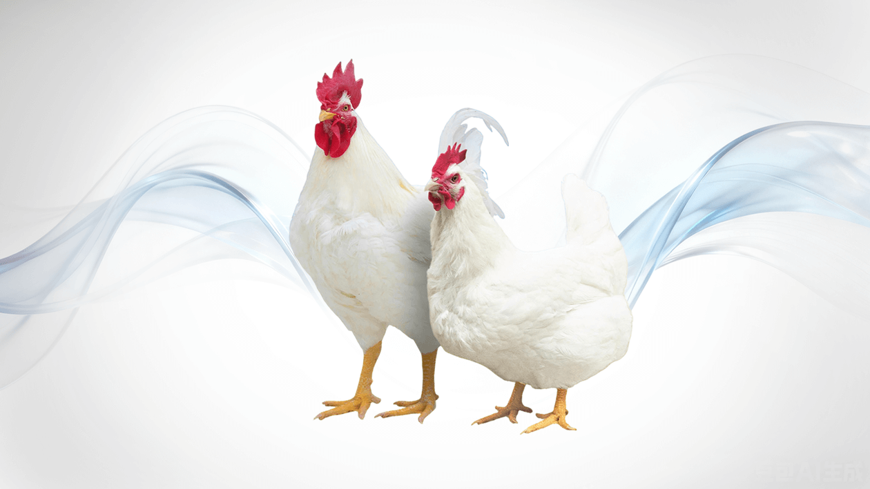 Action mère de Guangming n° 2
   