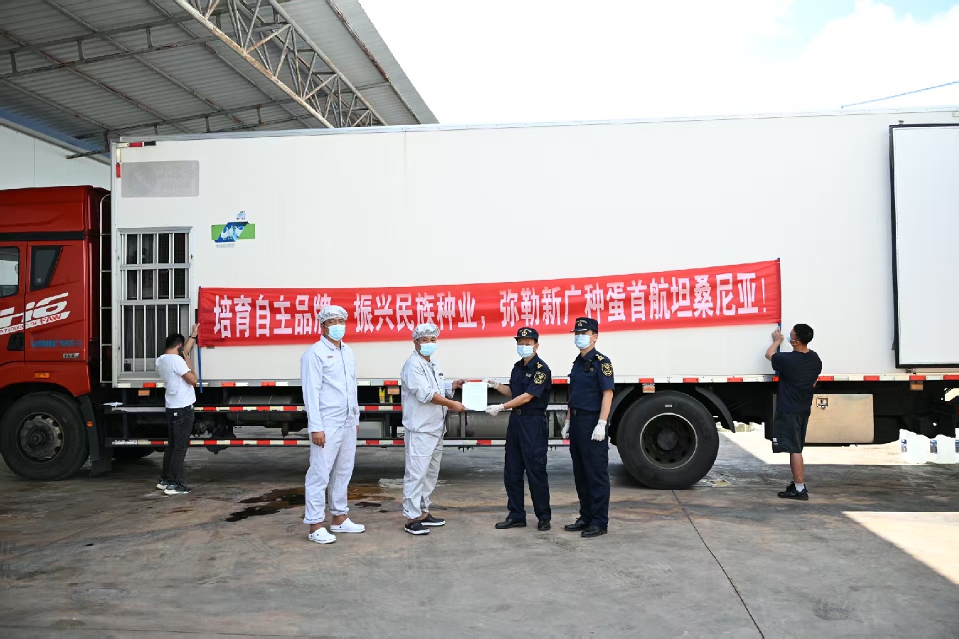 Premier export réussi d'œufs à couver de reproducteurs de poulets de chair « Guangming 2 » vers la Tanzanie